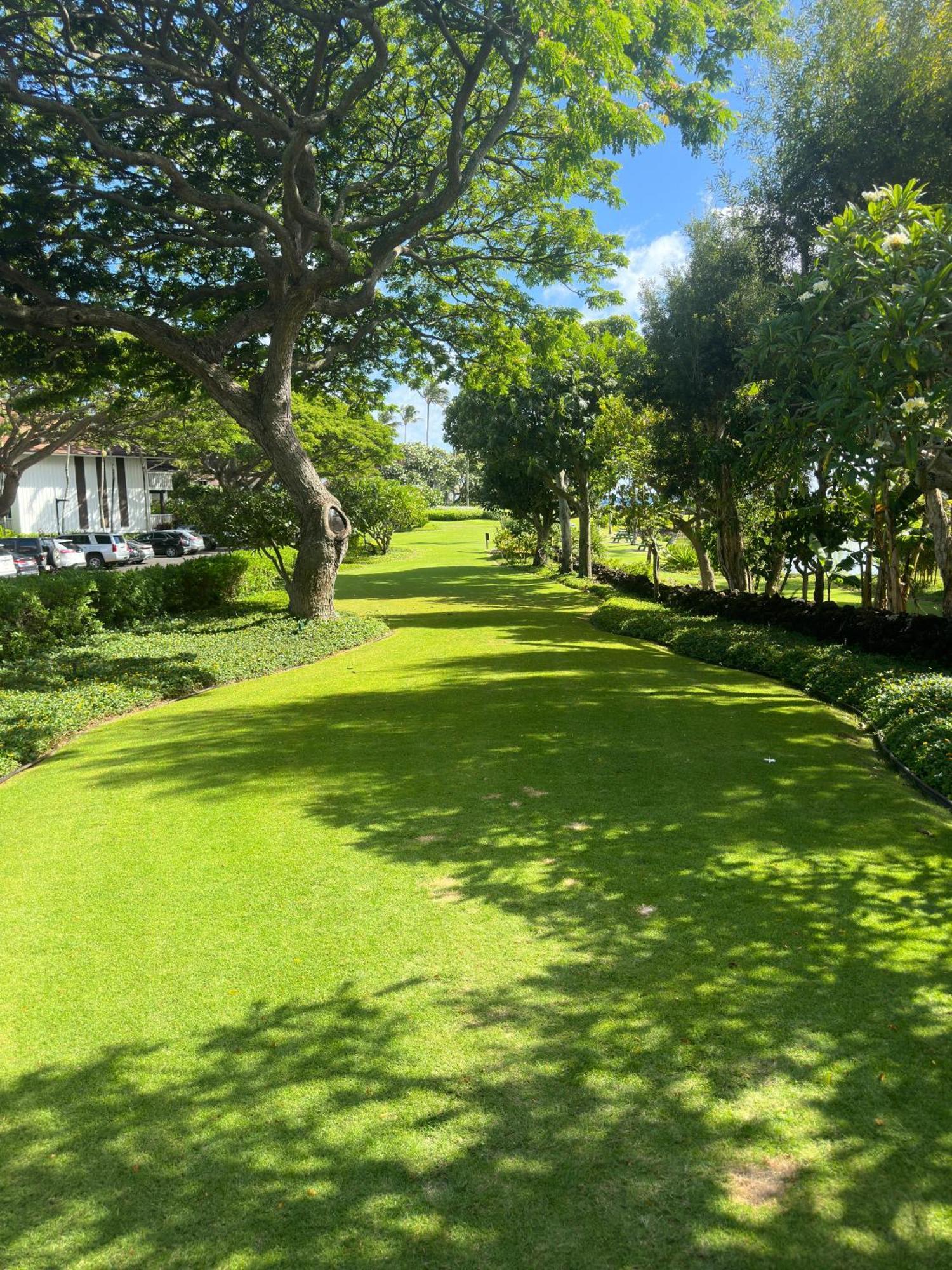 Kiahuna Paradise At Poipu Beach, Newly Remodeled Koloa Dış mekan fotoğraf